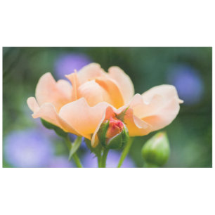 unfolding desire tablecloth