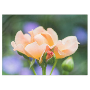 unfolding desire tablecloth