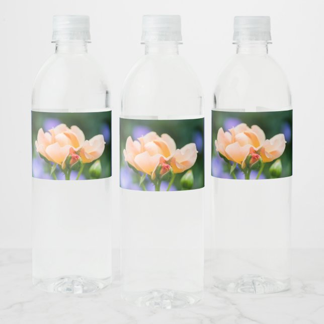 unfolding desire water bottle label (Bottles)