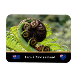 Unfolding Fern, New Zealand, Wilderness Magnet
