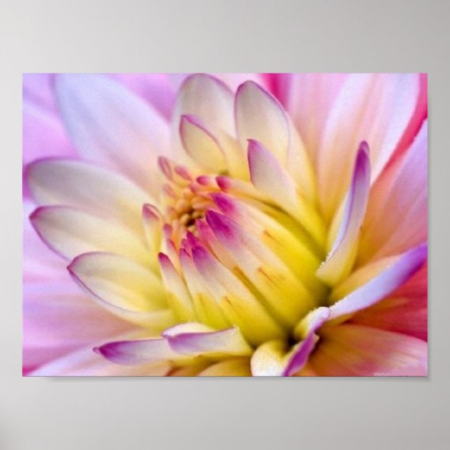 Unfolding Flower Poster (Front)