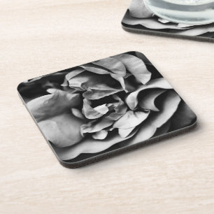 unfolding inner life coaster