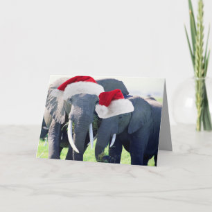 Unforgettable Elephant Christmas Holiday Card