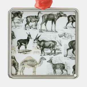 Ungalata or Hoofed Animals Metal Tree Decoration
