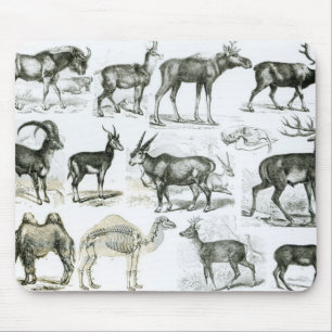 Ungalata or Hoofed Animals Mouse Mat