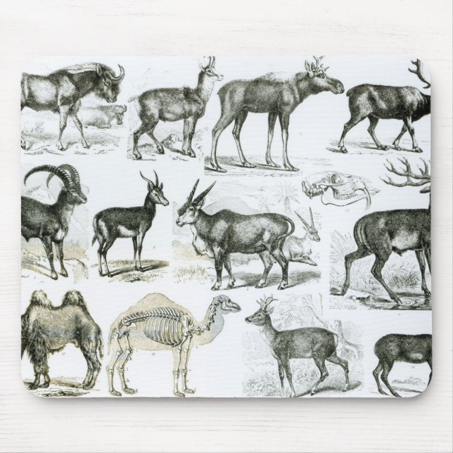 Ungalata or Hoofed Animals Mouse Mat (Front)