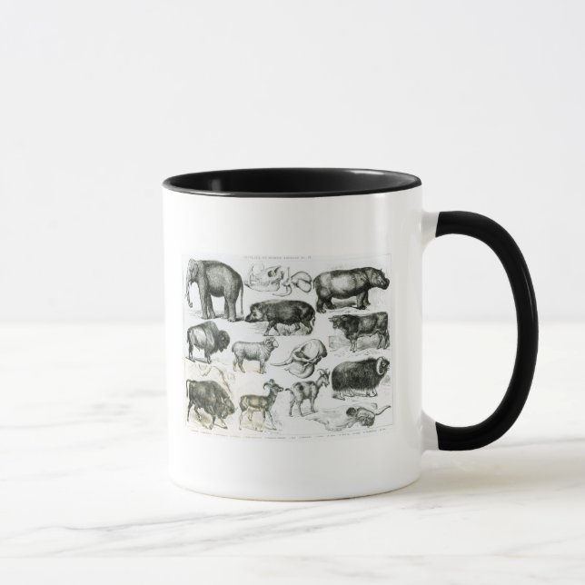 Ungulata or Hoofed Animals Mug (Right)