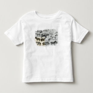 Ungulata or Hoofed Animals Toddler T-Shirt
