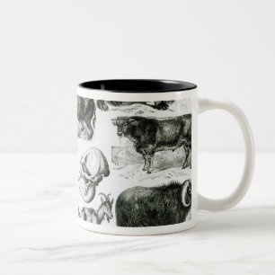 Ungulata or Hoofed Animals Two-Tone Coffee Mug