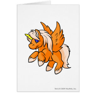 Uni Orange