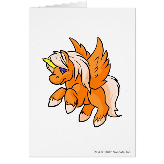 Uni Orange (Front)