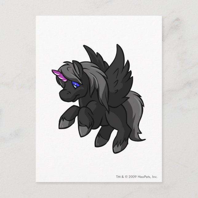 Uni Shadow Postcard (Front)