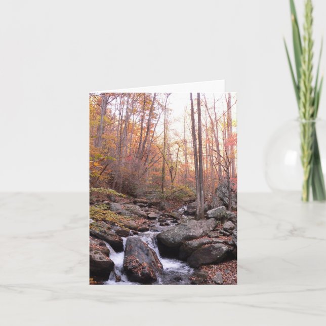 Unicoi State Park Notecard (Front)