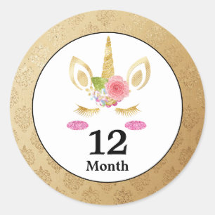 Unicorn Baby Month Stickers