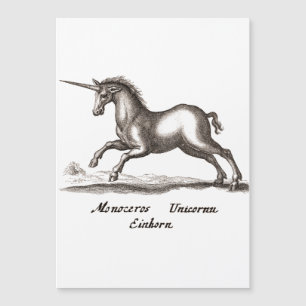 Unicorn Classic Running Magic Woodland Creature