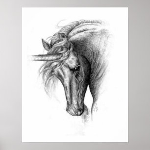 Unicorn Colt Poster