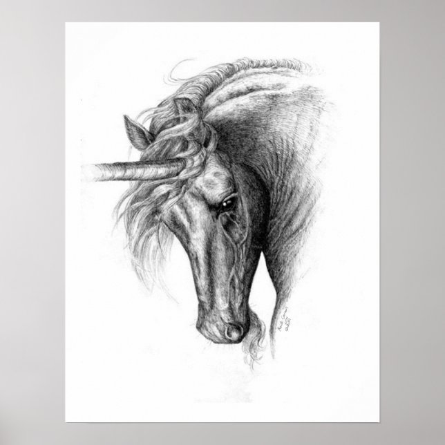 Unicorn Colt Poster (Front)