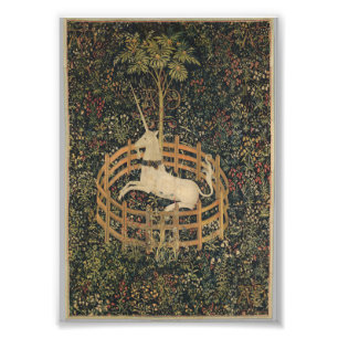 Unicorn in Captivity Photo Print