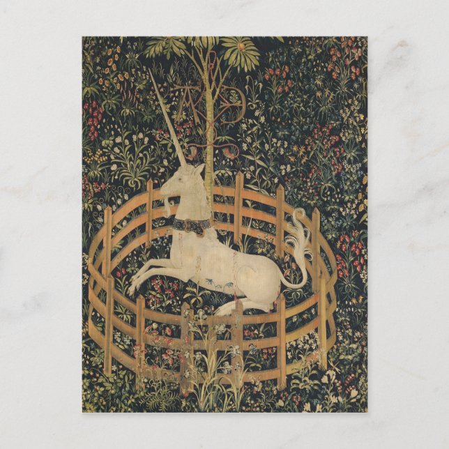 Unicorn in Captivity Postcard (Front)