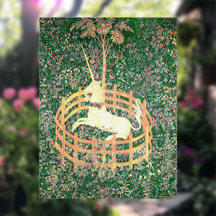 Unicorn In Captivity Postcard