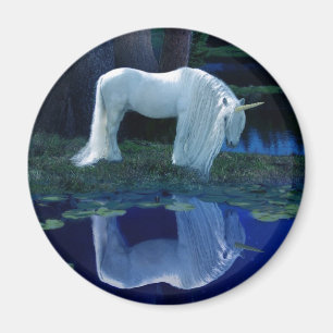 Unicorn Reflection Magnet