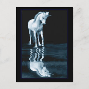unicorn reflections postcards