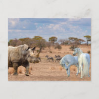 Unicorns Cubby Rhino Rhinoceros Africa