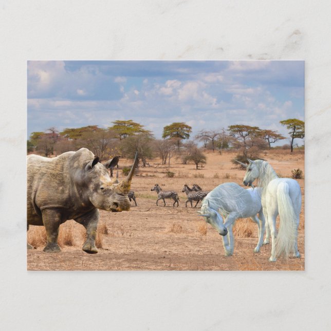 Unicorns Cubby Rhino Rhinoceros Africa Postcard (Front)