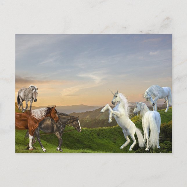 Unicorns Meet Horses Fanasy land Postcard (Front)