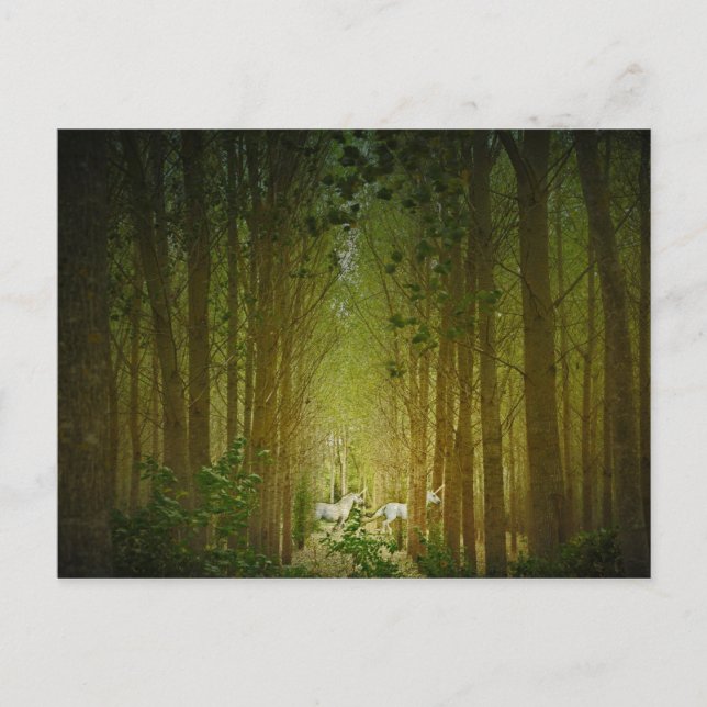 Unicorns Postcard (Front)