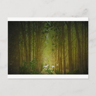 Unicorns Postcard