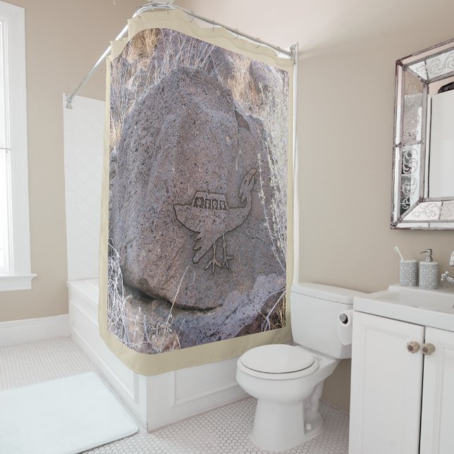 Unidentified Flying Object Shower Curtain (In Situ)