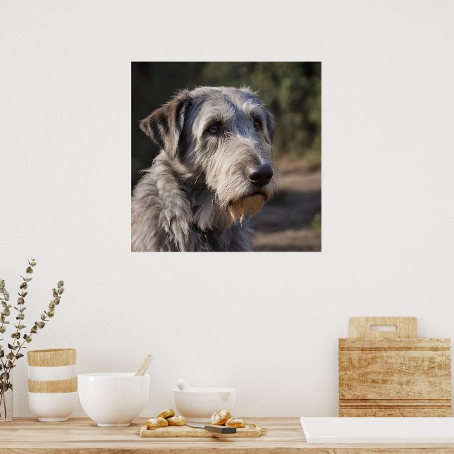 "Unimpressed Majesty: The Wolfhounds' Stoic Gaze" Poster (Kitchen)