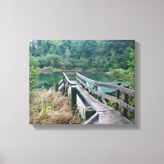 Union Spring - Porcupine Mountain Wilderness Canvas Print (Front)