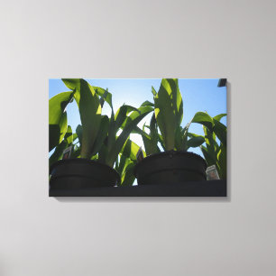 Union Square, New York City, USA Canvas Print