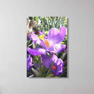 Union Square, New York City, USA Canvas Print