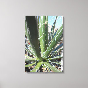 Union Square, New York City, USA Canvas Print