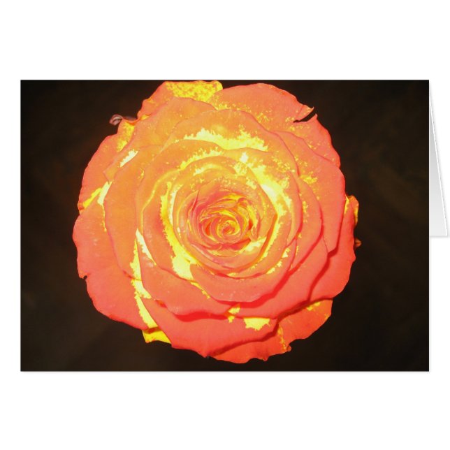 Unique - A Rose Like No Other - Subtle Love (Front Horizontal)