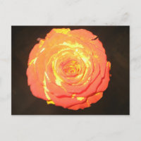 Unique - A Rose Like No Other - Subtle Love