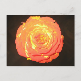 Unique - A Rose Like No Other - Subtle Love Postcard