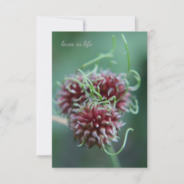 Unique Alliums Card (Front)