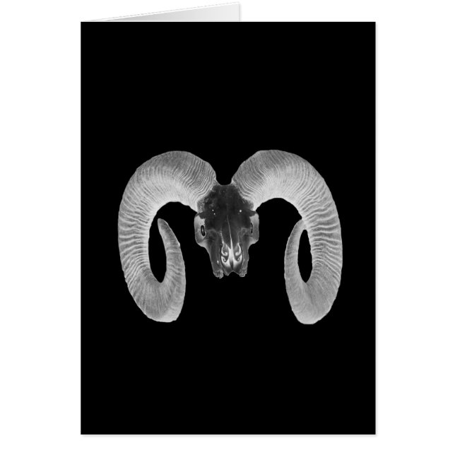 unique and handmade  goat skull (Front)