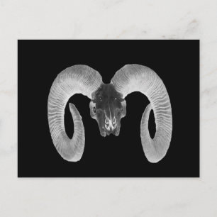 unique and handmade goat skull postcard