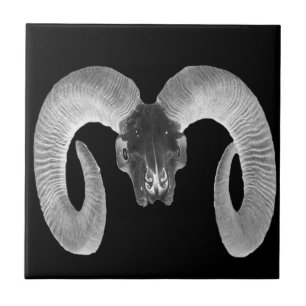 unique and handmade goat skull tile