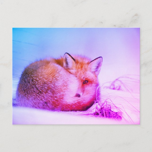 *~* Unique Animal Red Fox Ap18 Artistic Wildlife  Postcard (Front)