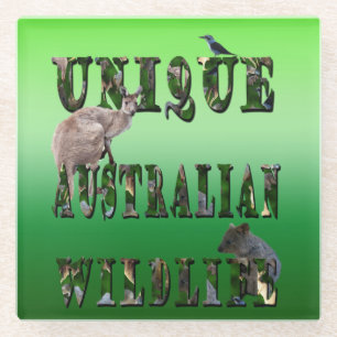 Unique Australian Wildlife Picture Logo, Glass Coaster