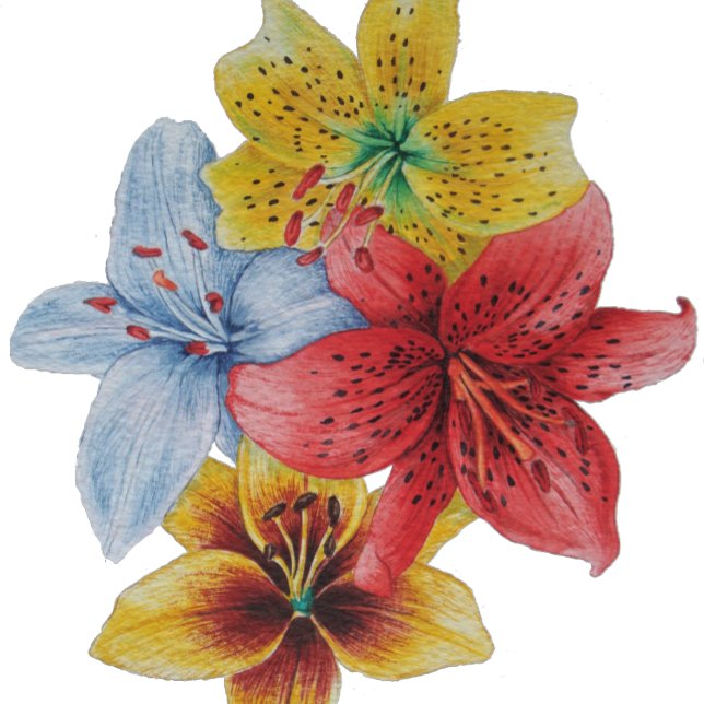 unique big and bold colourful flowers floral wash cloth (Creator Uploaded)