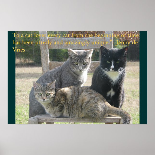 Unique cats poster (Front)