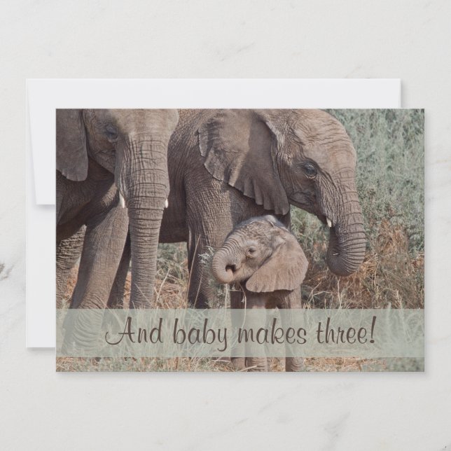 Unique Elephant Family Baby Shower Invitation (Front)