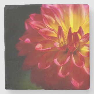 Unique Flower Coaster